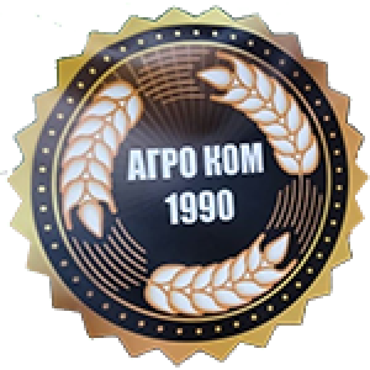 «Агро Ком 1990» Пологи, Фото