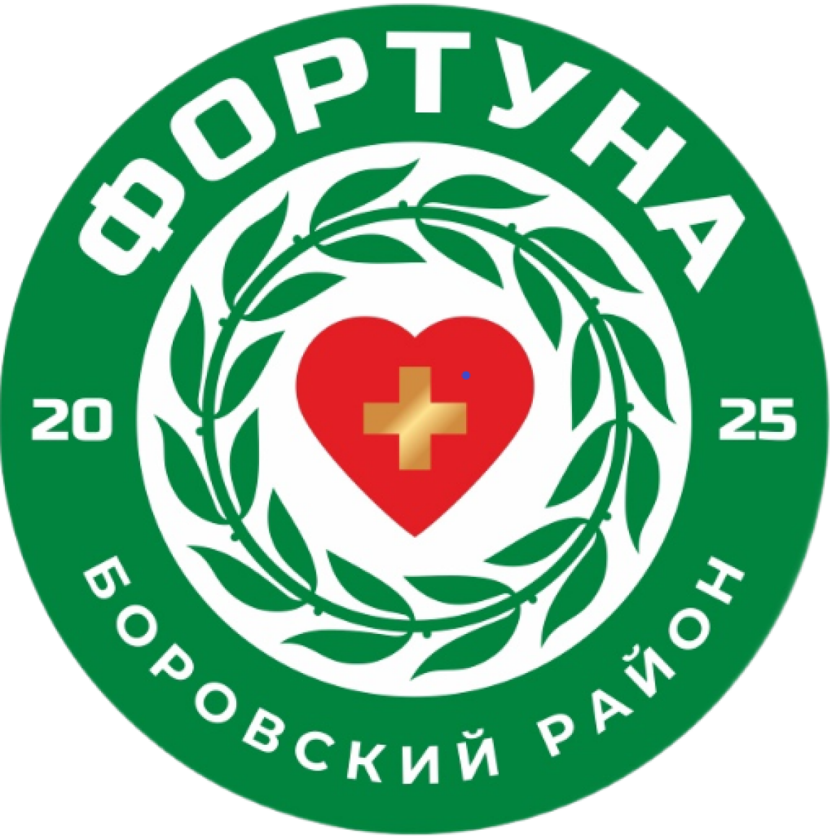 «Фортуна» Боровск, Фото