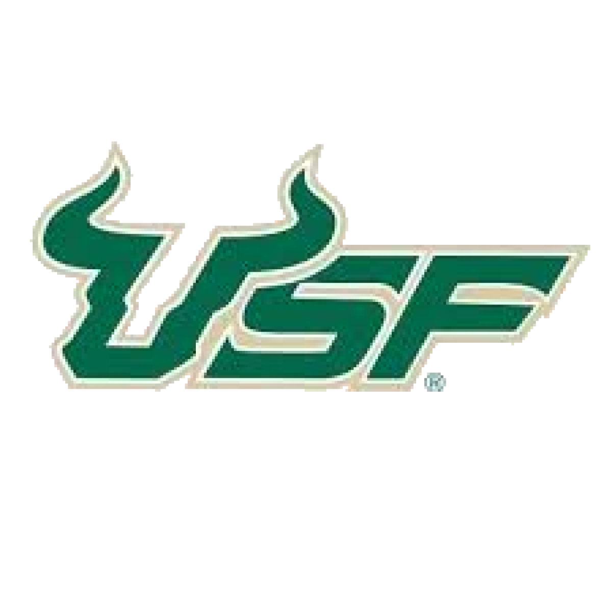 «Саут Флорида Буллз» Тампа, Фото