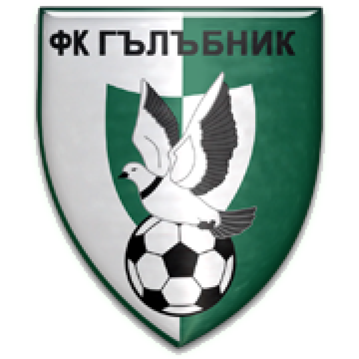 «Свраките» Гылыбник, Фото