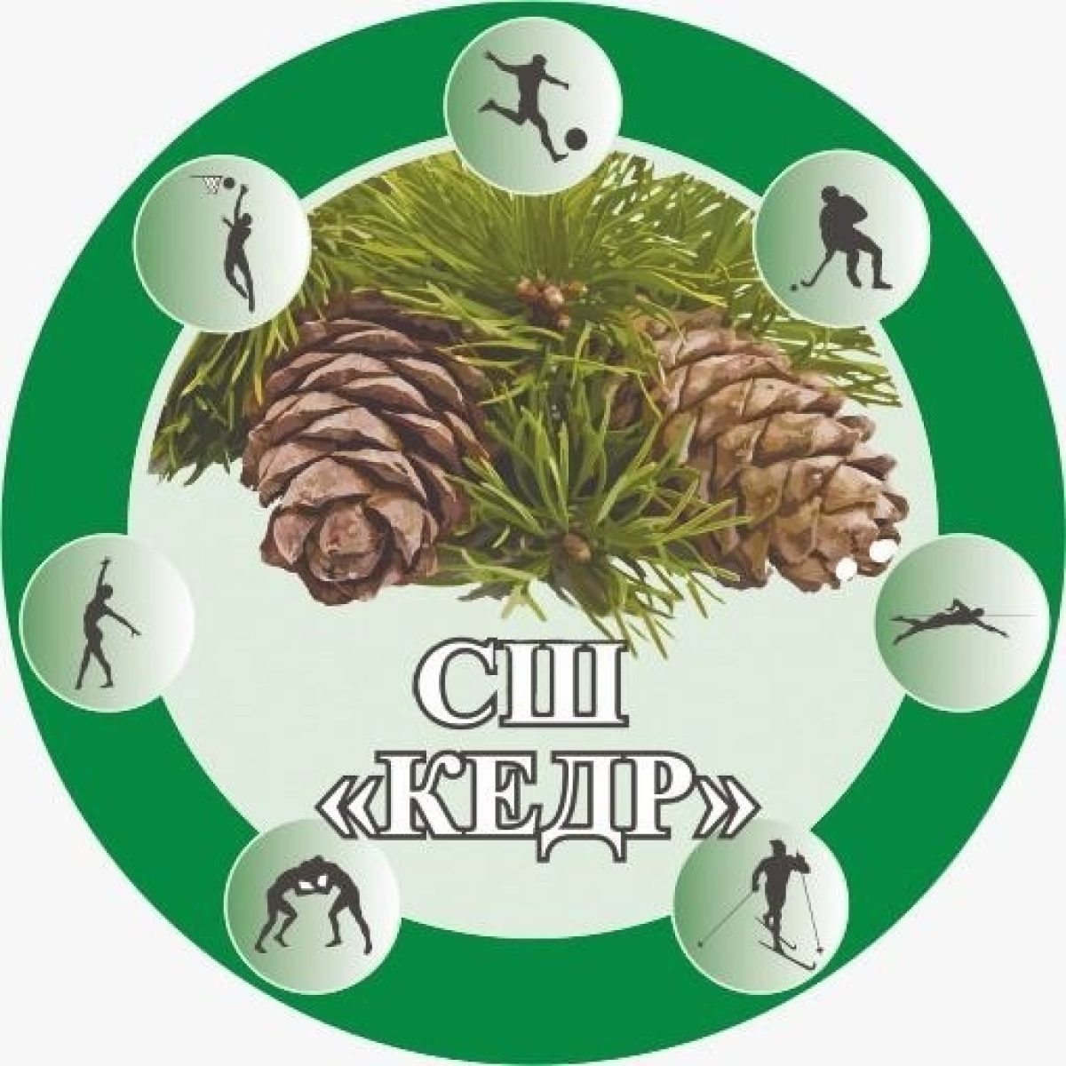 ДЮСШ «Кедр» Томск, Фото