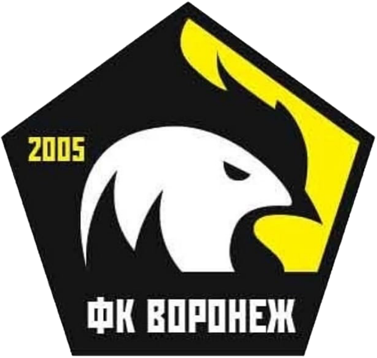 ФШ «Воронеж» Воронеж, Фото