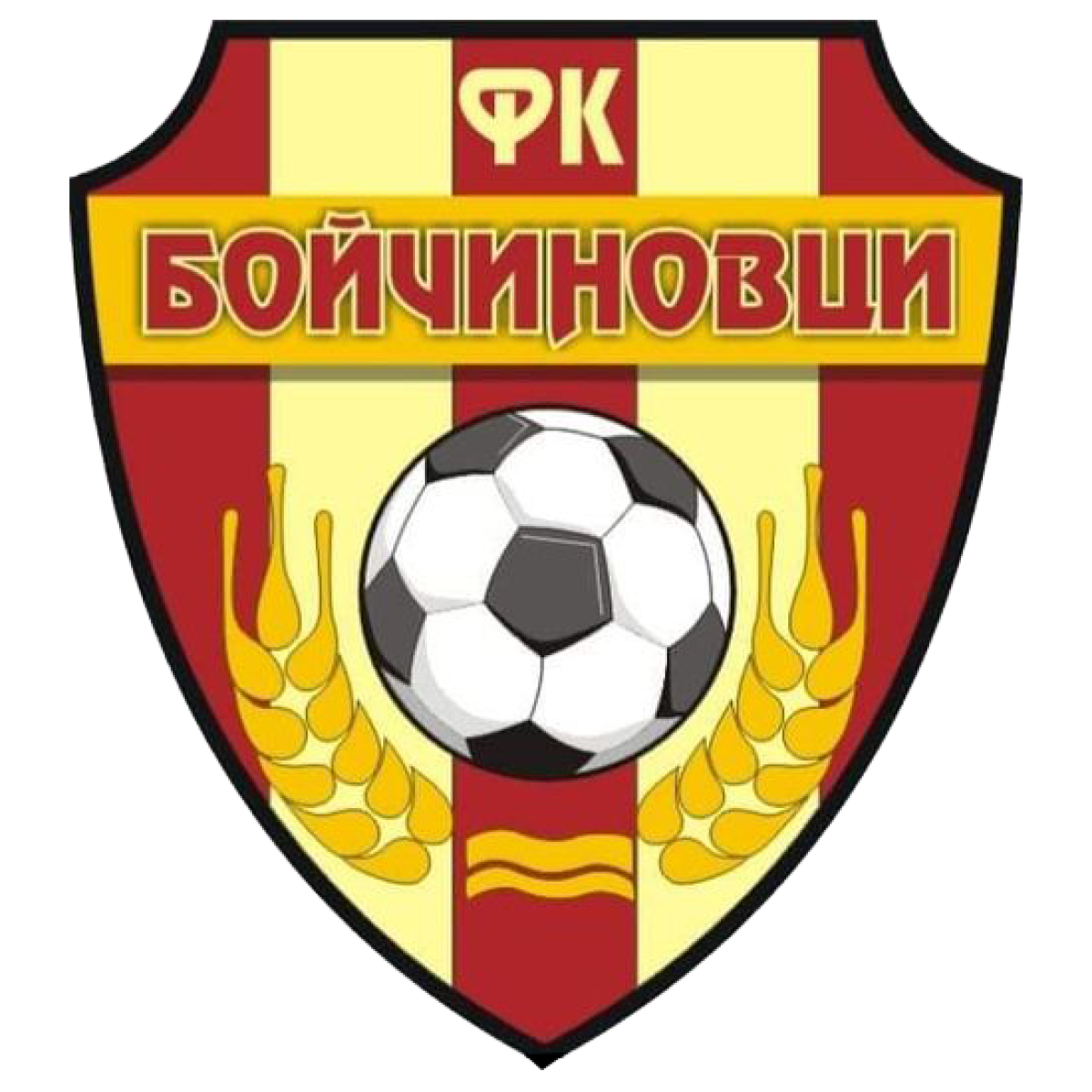 «Бойчиновци» Бойчиновци, Фото