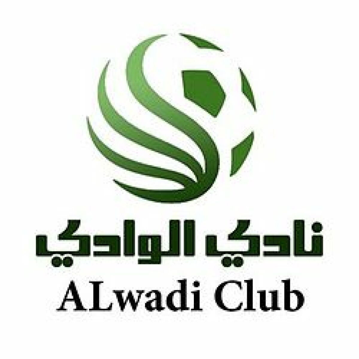 «Альвади» Аль-Ахдар, Фото