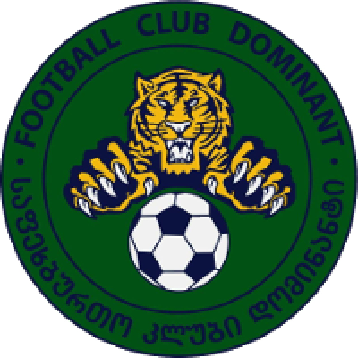 «Доминант» Тбилиси, Фото