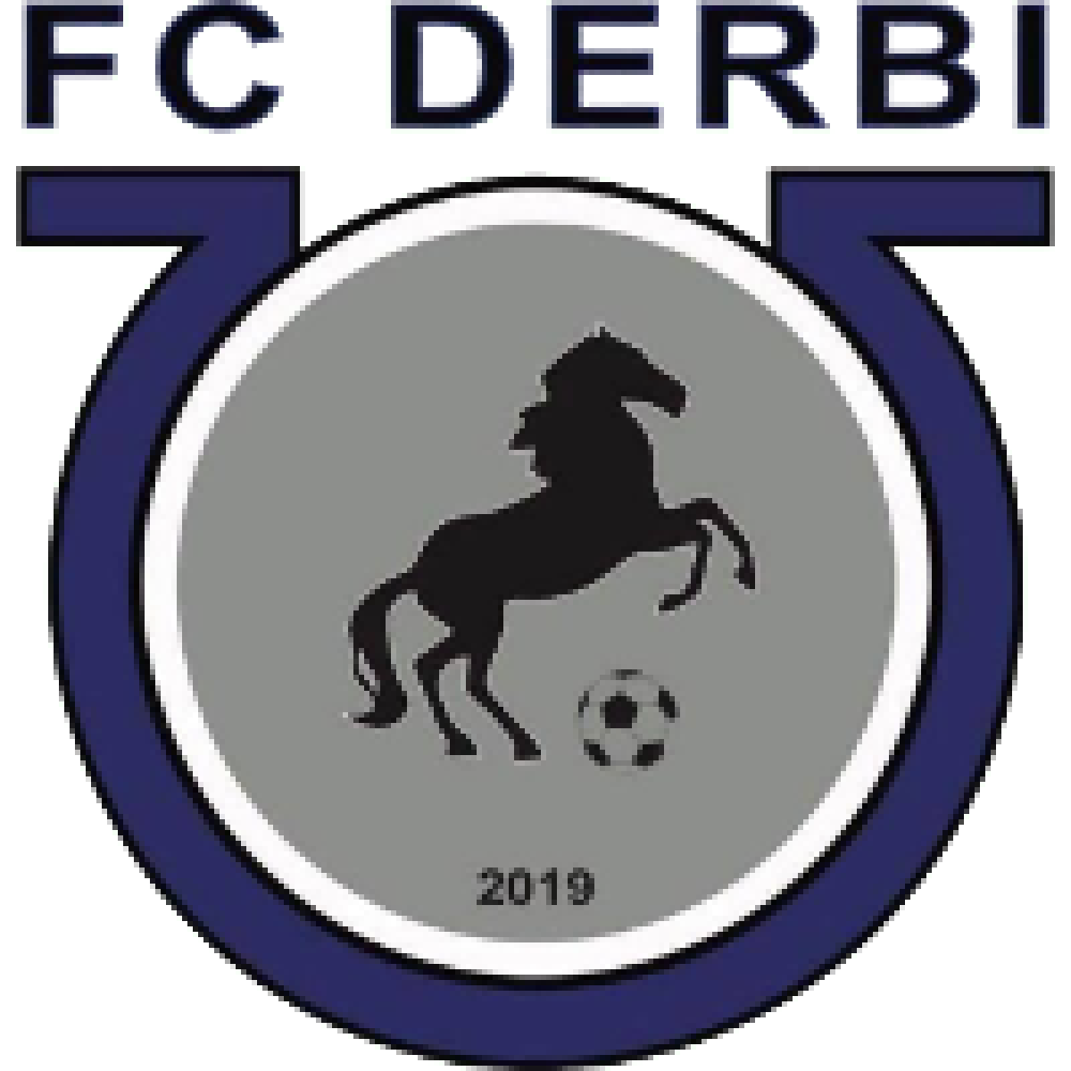 «Дерби» Тбилиси, Фото