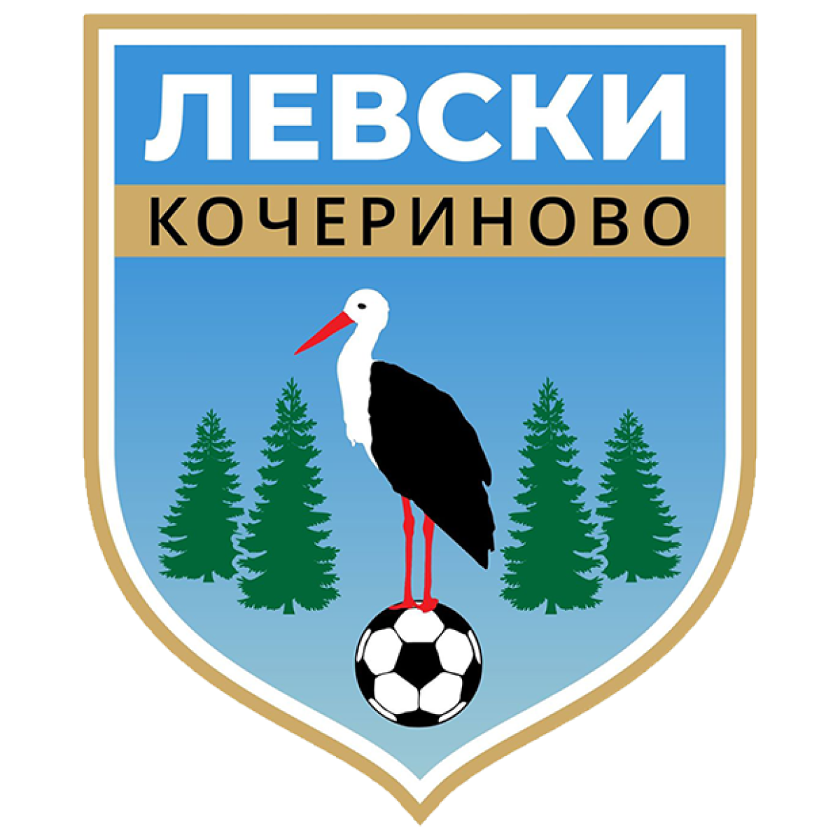 «Левски» Кочериново, Фото