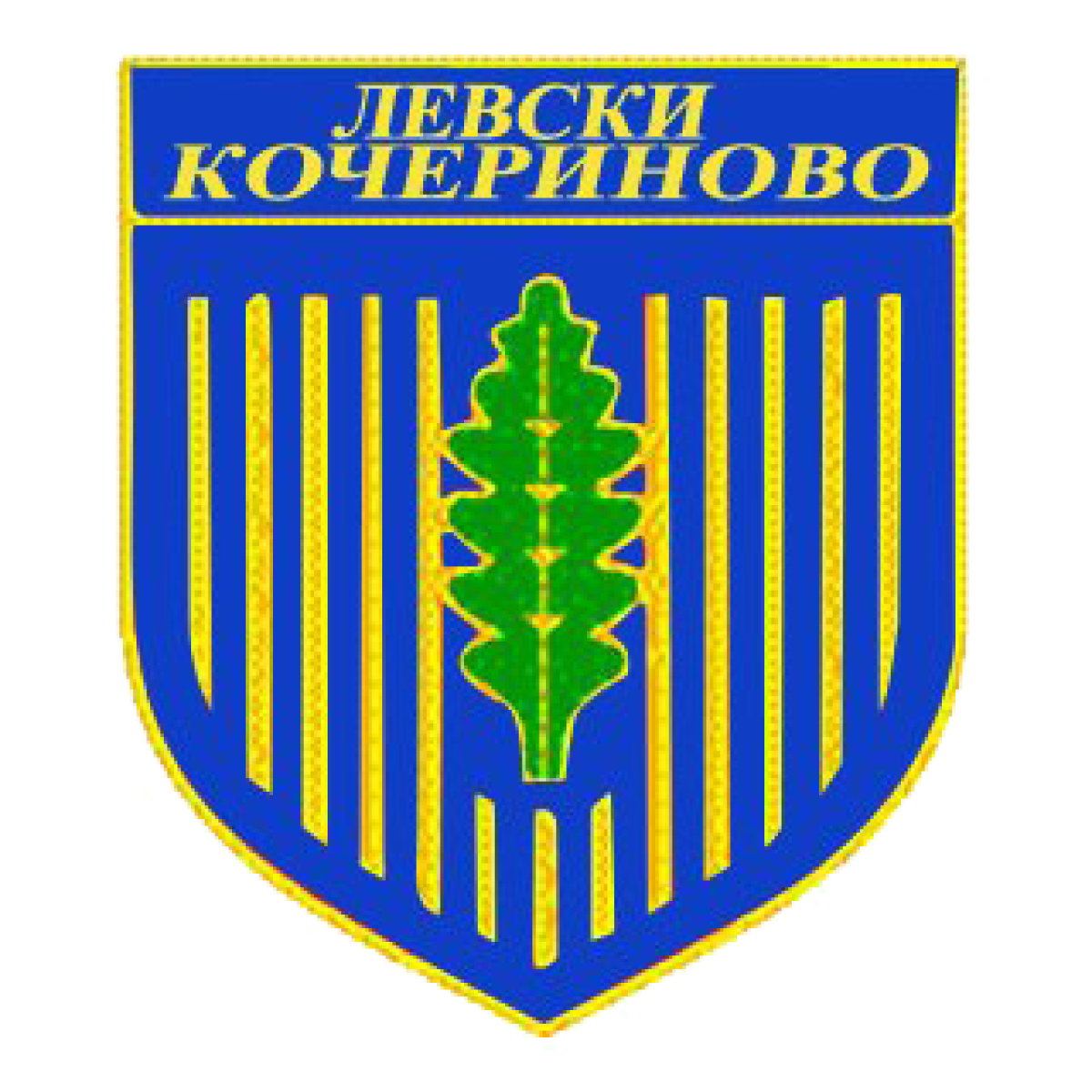 «Левски» Кочериново, Фото