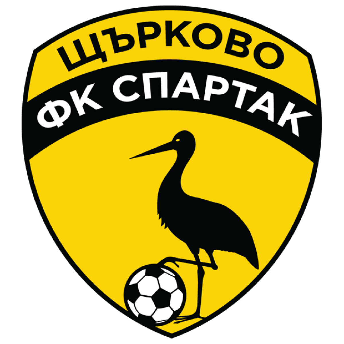 «Спартак» Штырково, Фото