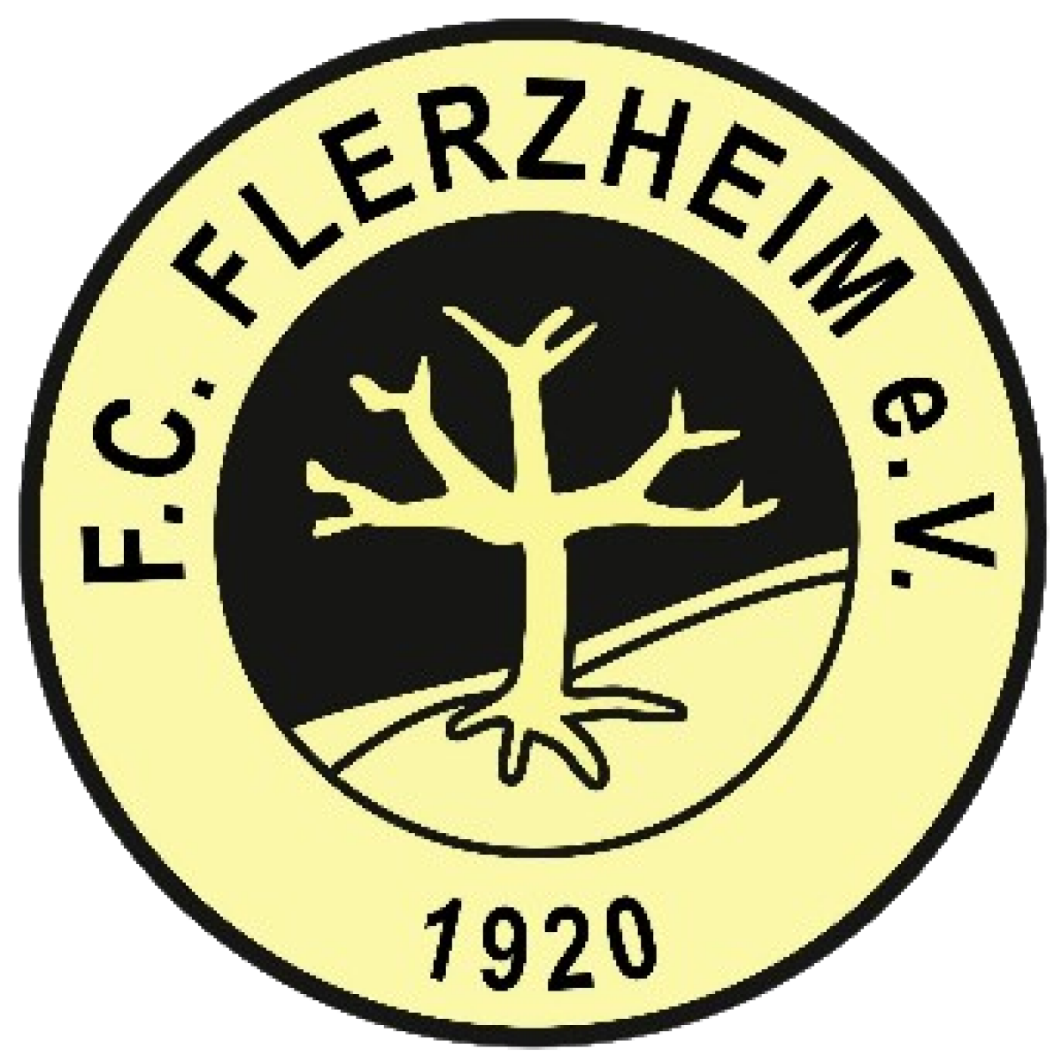 ФШ «Флерцхайм» Райнбах, Фото