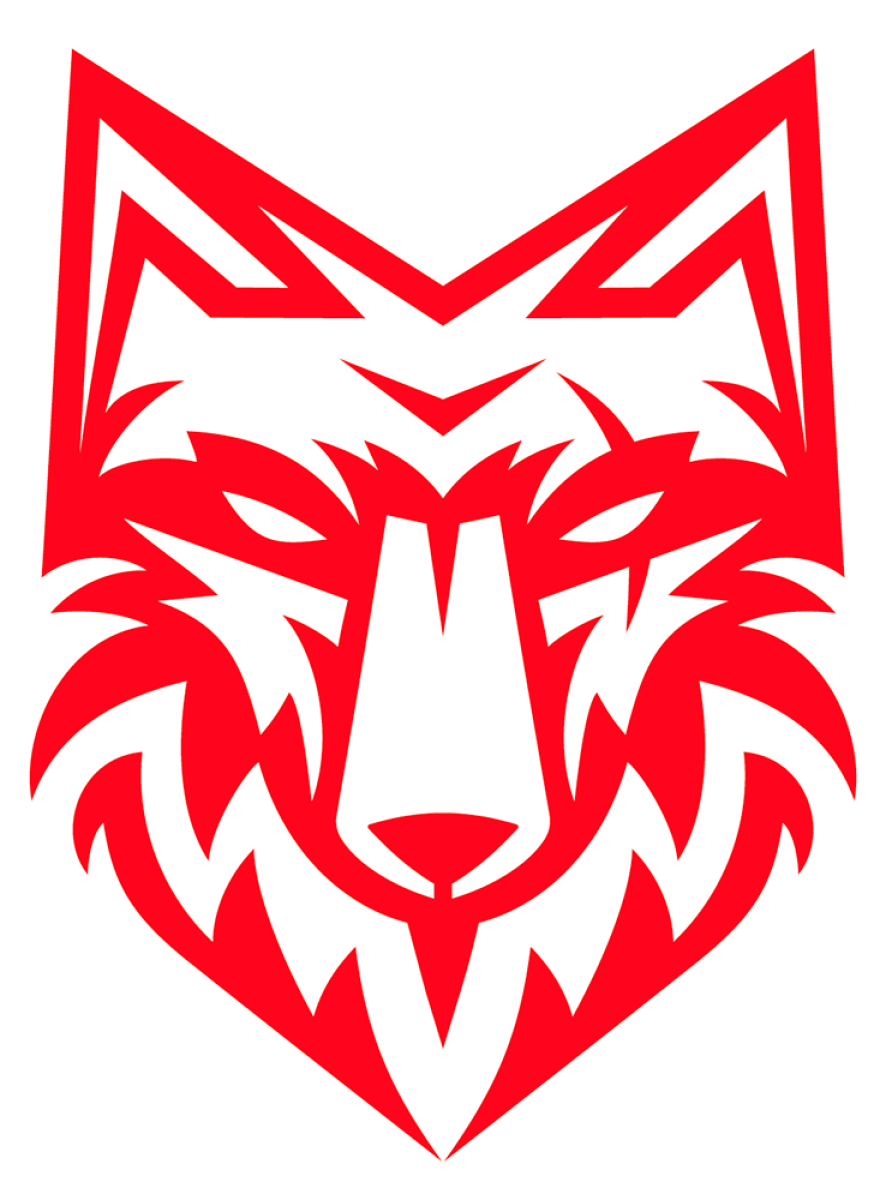 «Спартак» Тамбов, Фото