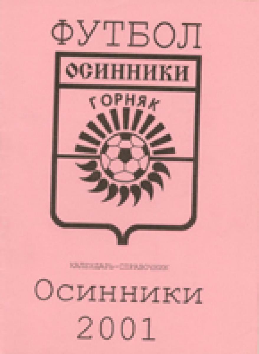 «Футбол. Осинники 2001», Фото