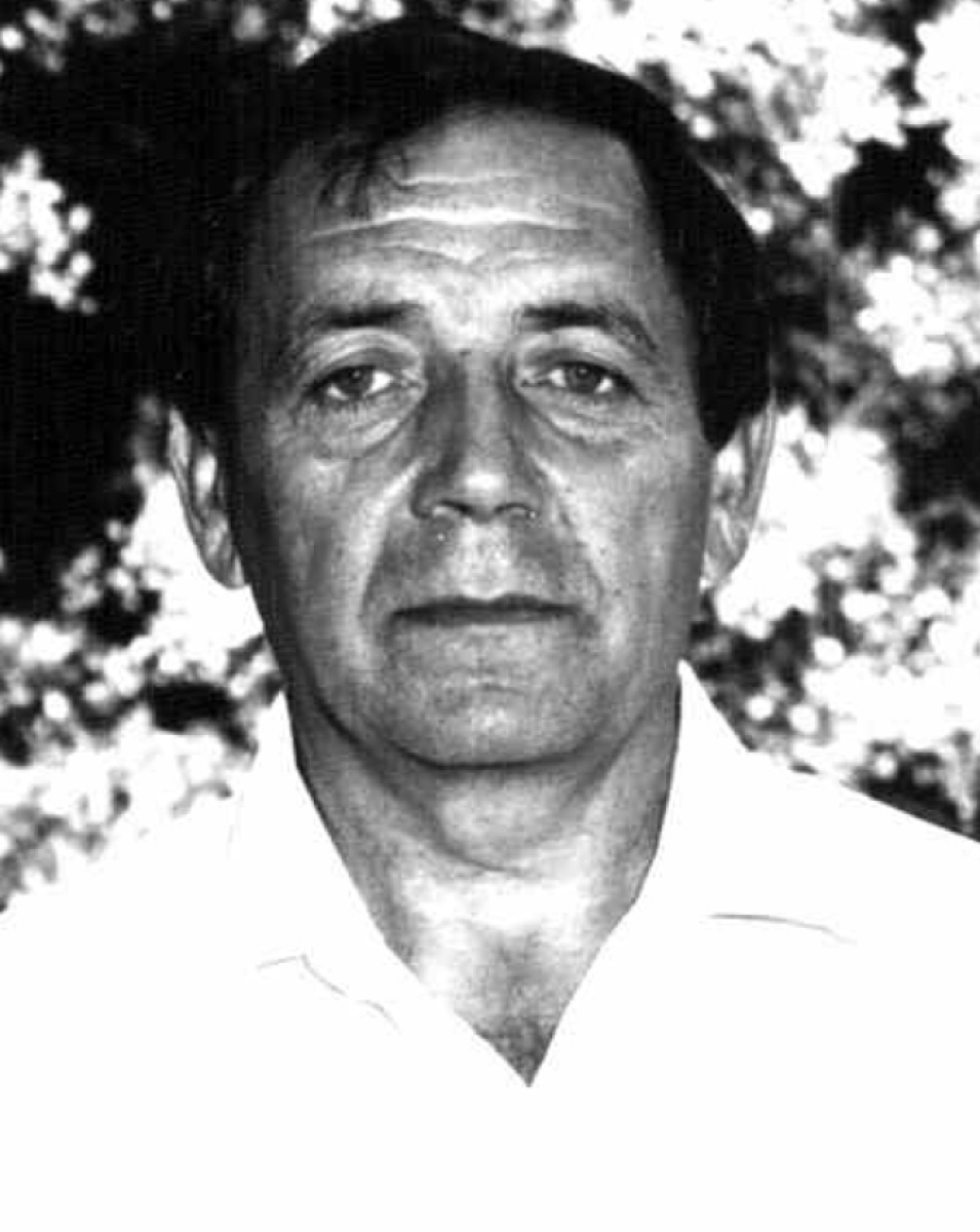 Виноградов Анатолий Тарасович, Фото