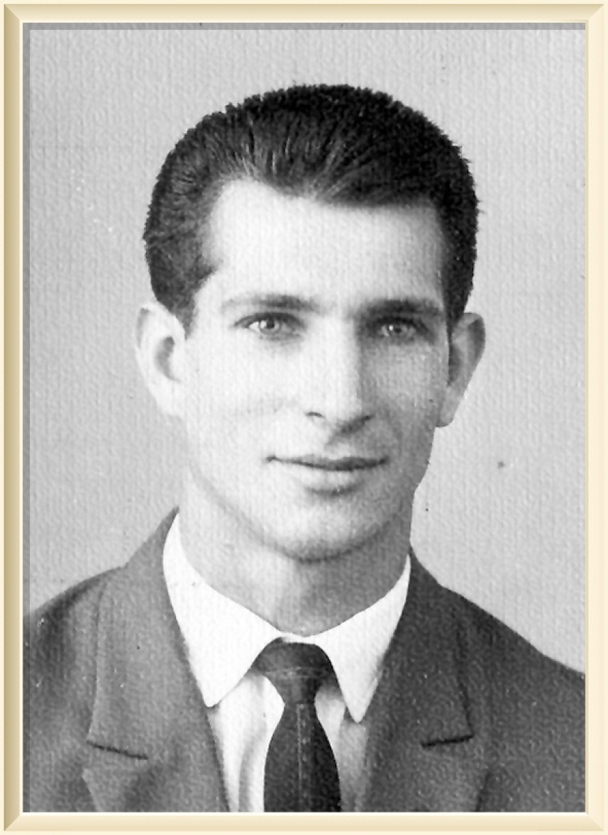 Лисицын Владимир Фёдорович, Фото