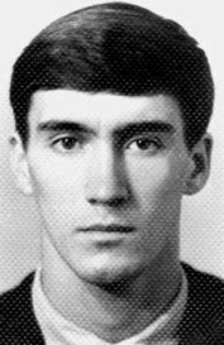 Гребнев Александр Сергеевич, Фото