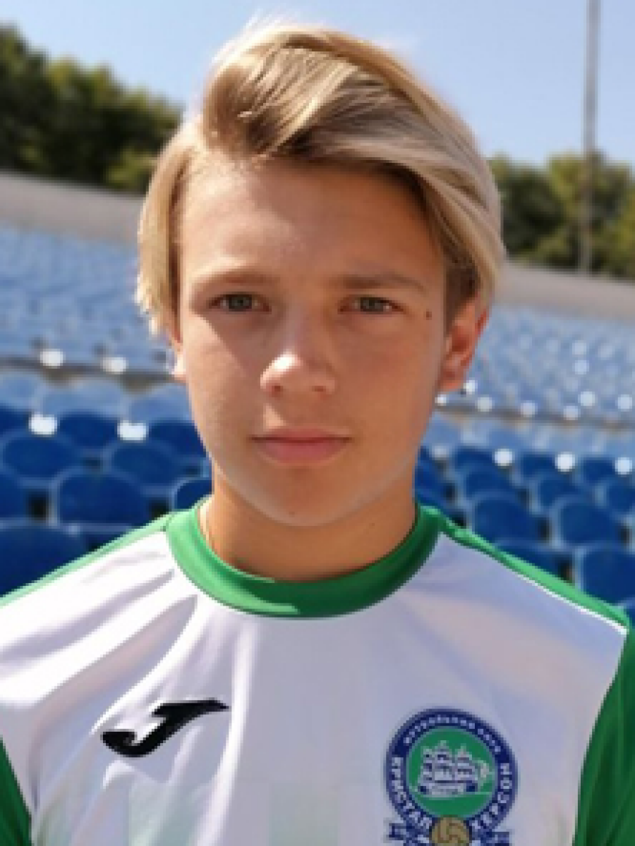 Швед Денис Игоревич, Фото