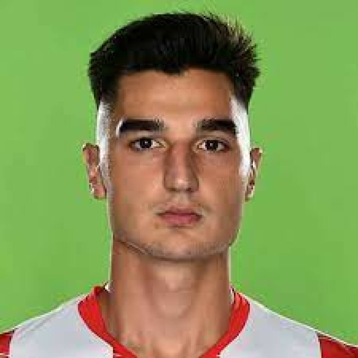 Гаврич Желько, Фото