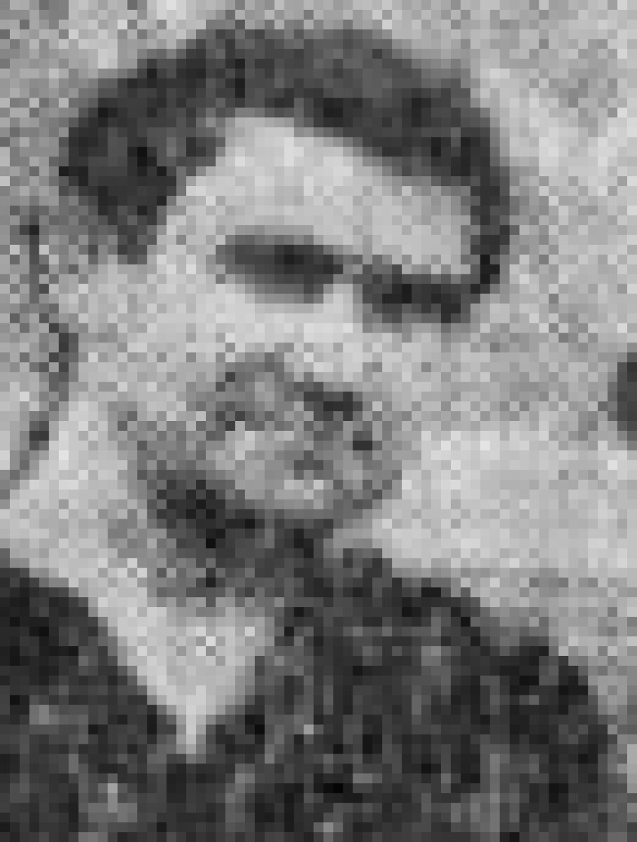 Сурнин Владислав Пантелеевич, Фото