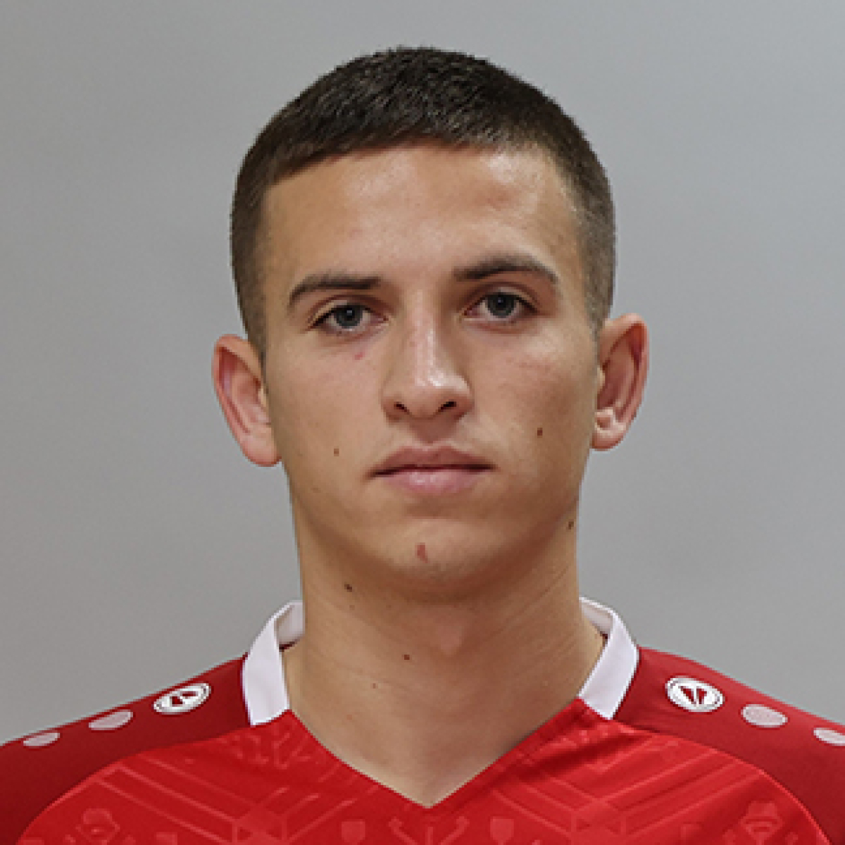 Штефан Михаил, Фото