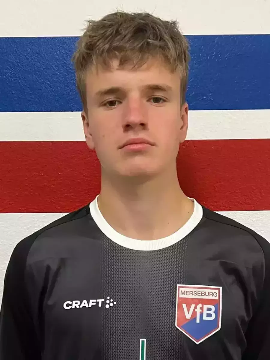 Проничкин Владислав Александрович, Фото