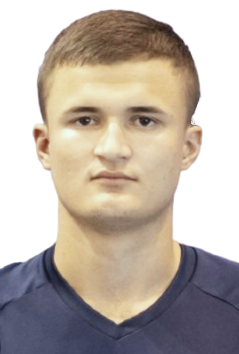 Журба Родион Анатольевич, Фото