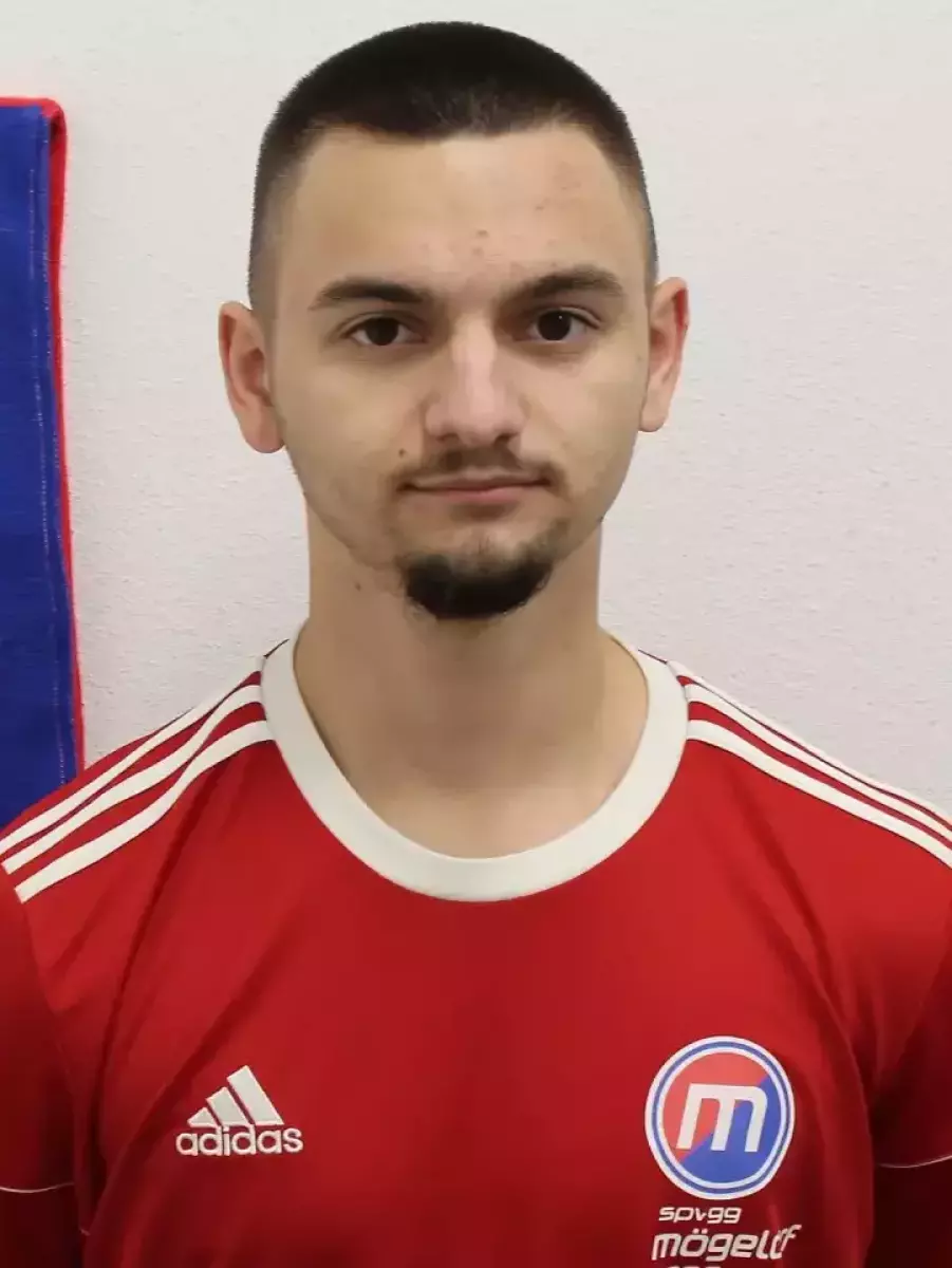 Михайлов Александру, Фото