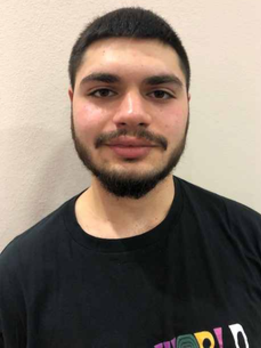 Белубекян Эрнест, Фото