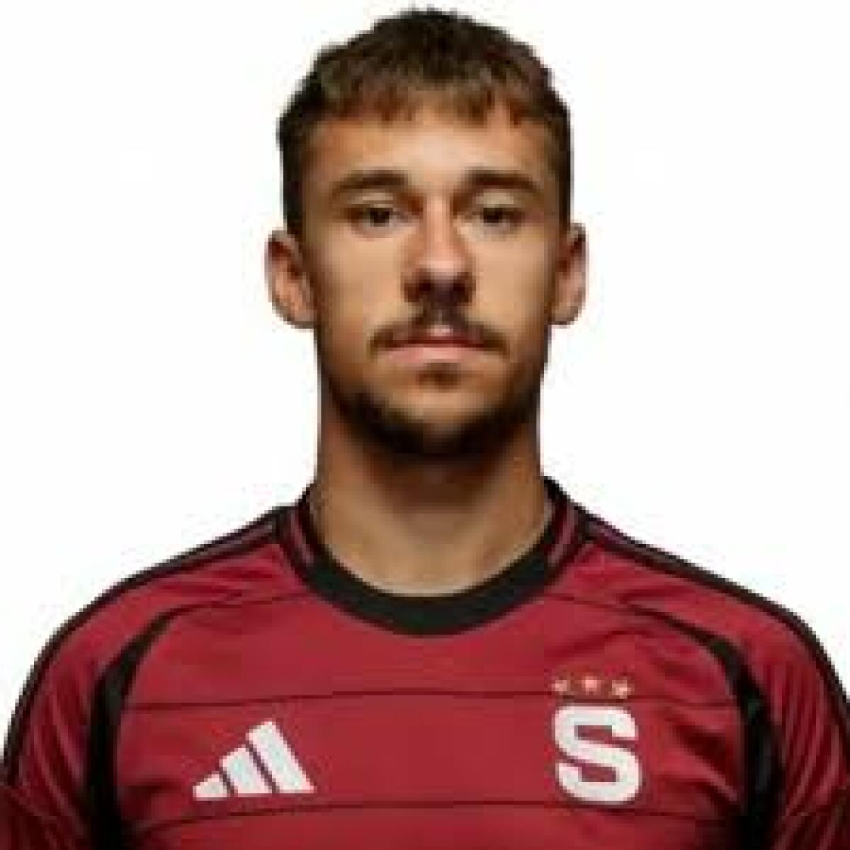 Рынеш Матей, Фото