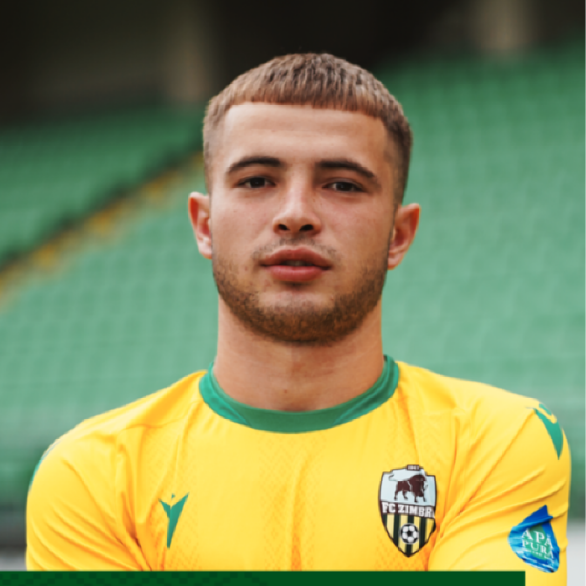 Раду Лучиан, Фото