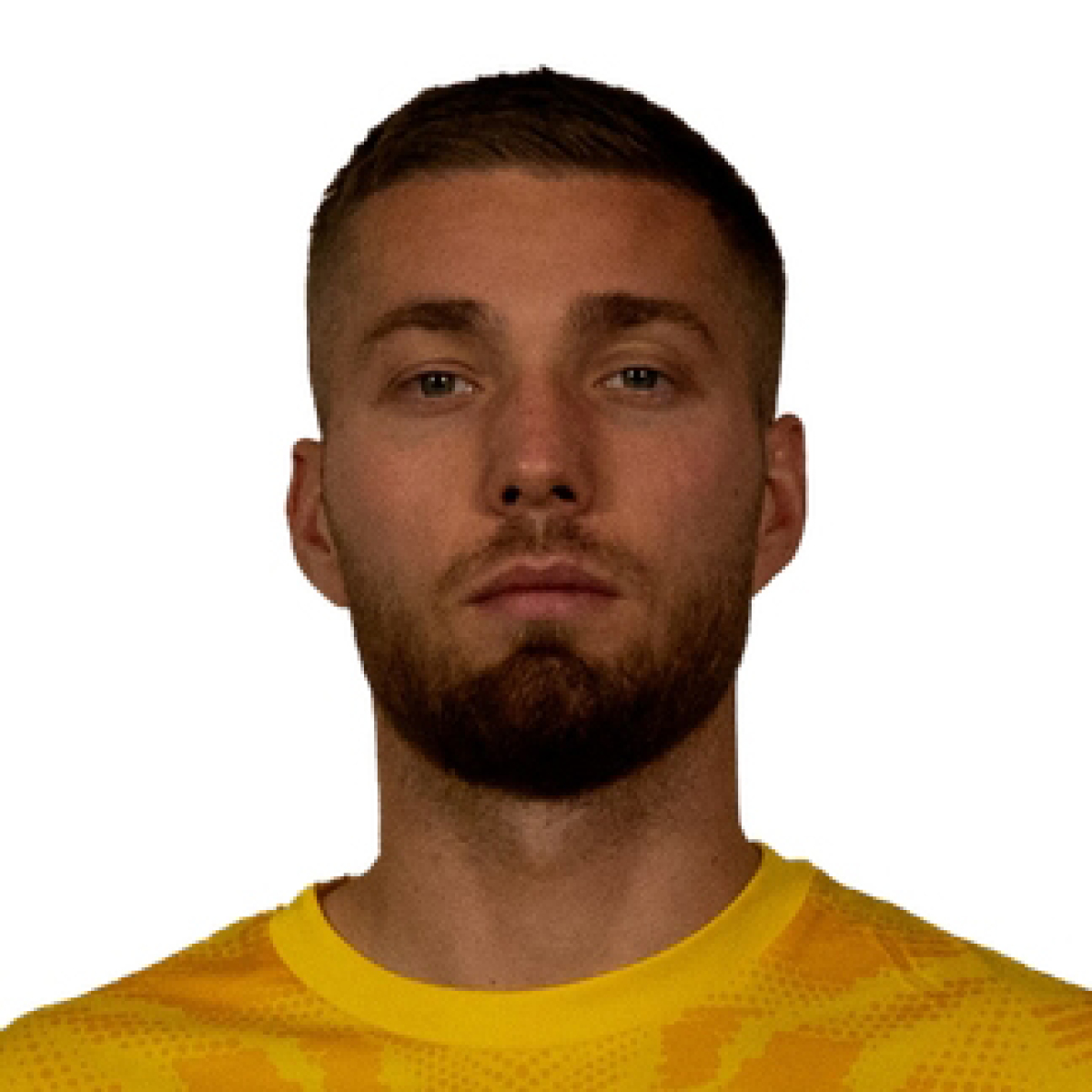 Арифи Дони, Фото