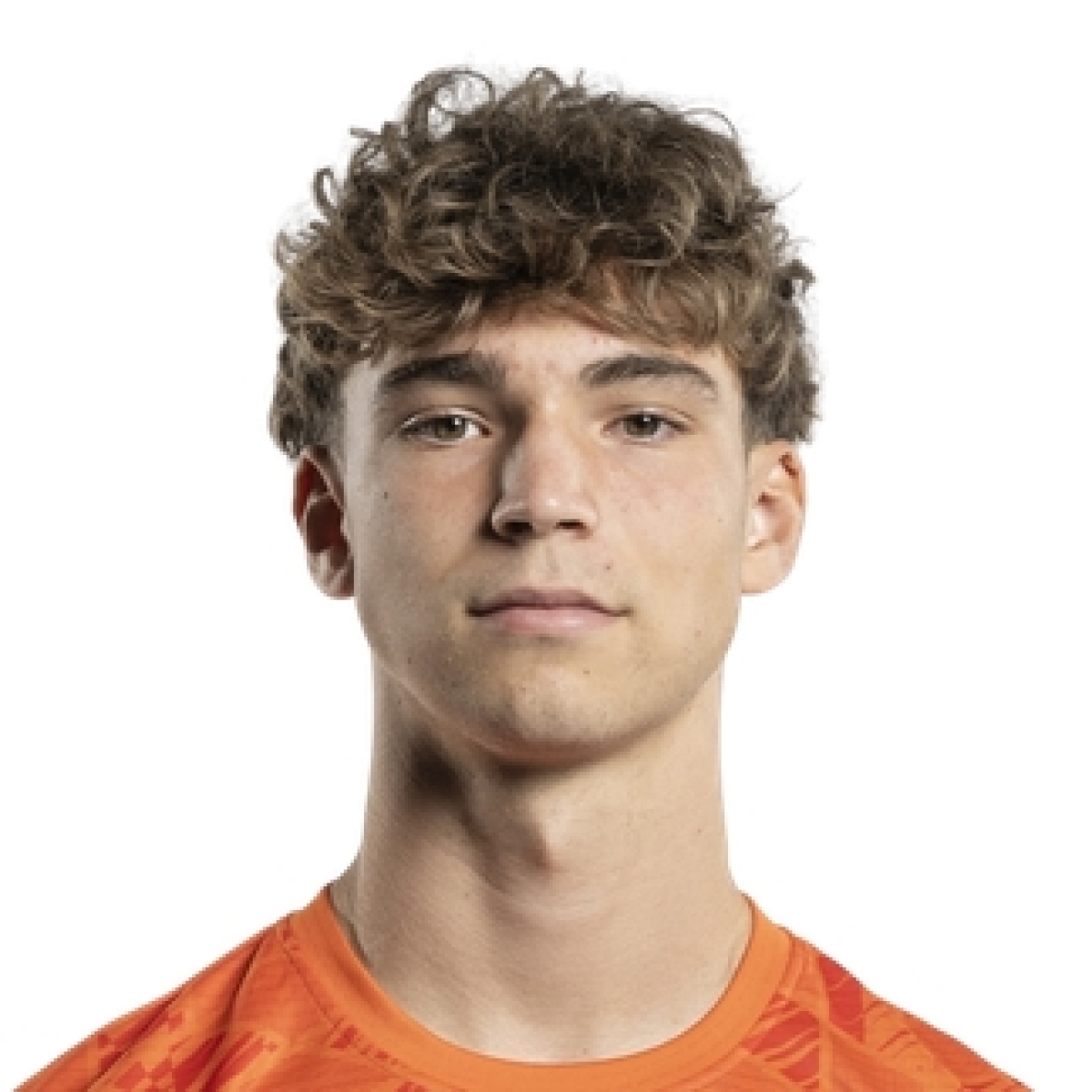 Ванден Дриссхе Артус, Фото