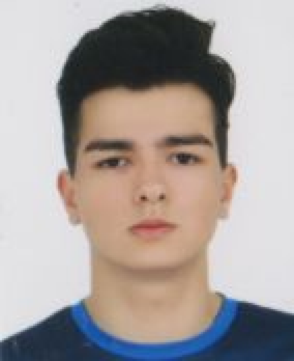 Слабинский Родион Артёмович, Фото