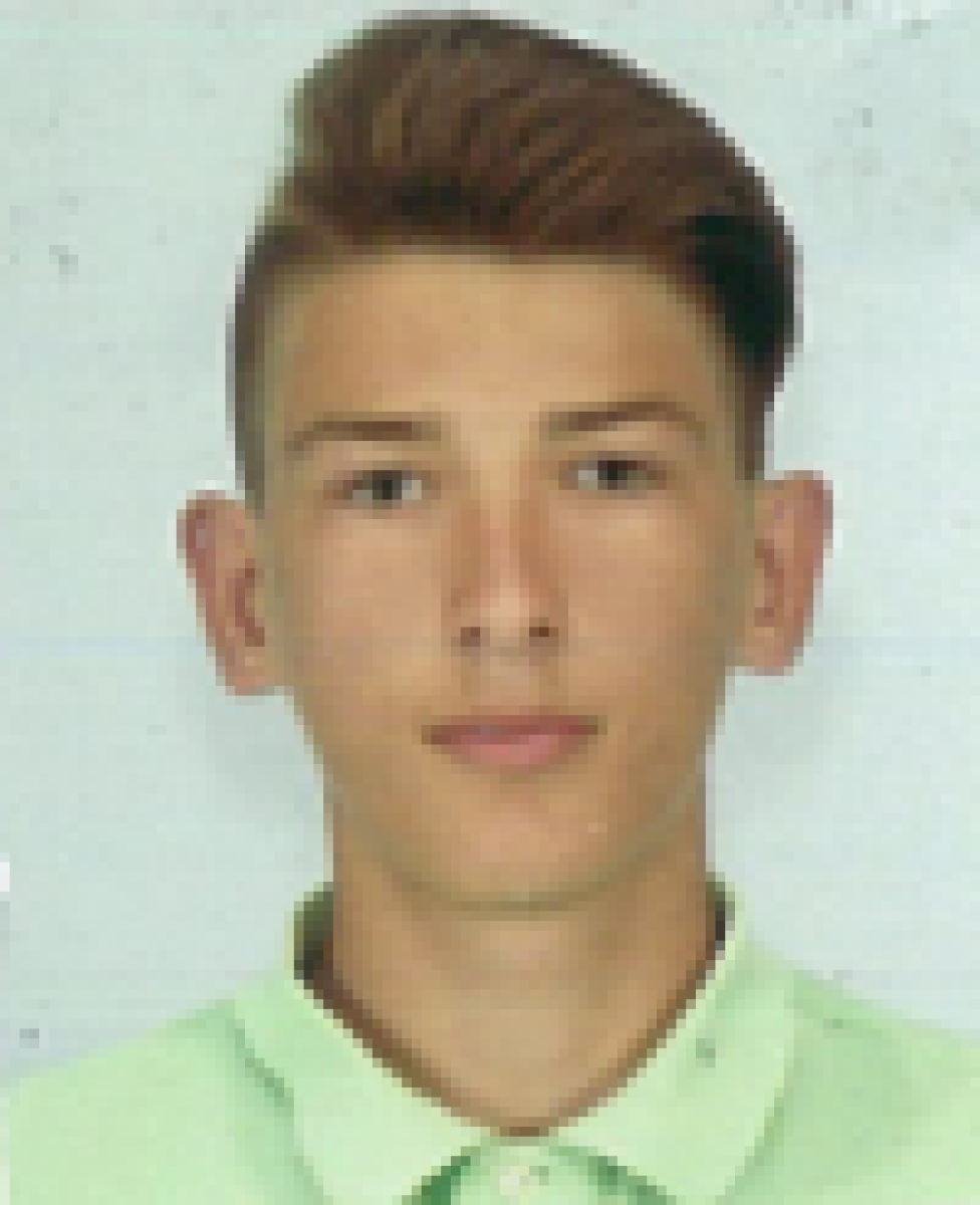 Подгорный Илья Александрович, Фото