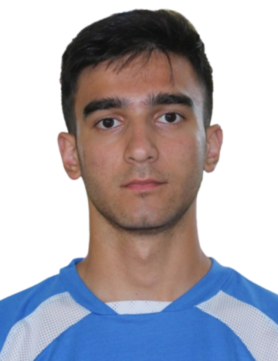 Ализаде Али, Фото